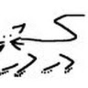 Meet your Posher, Meredith